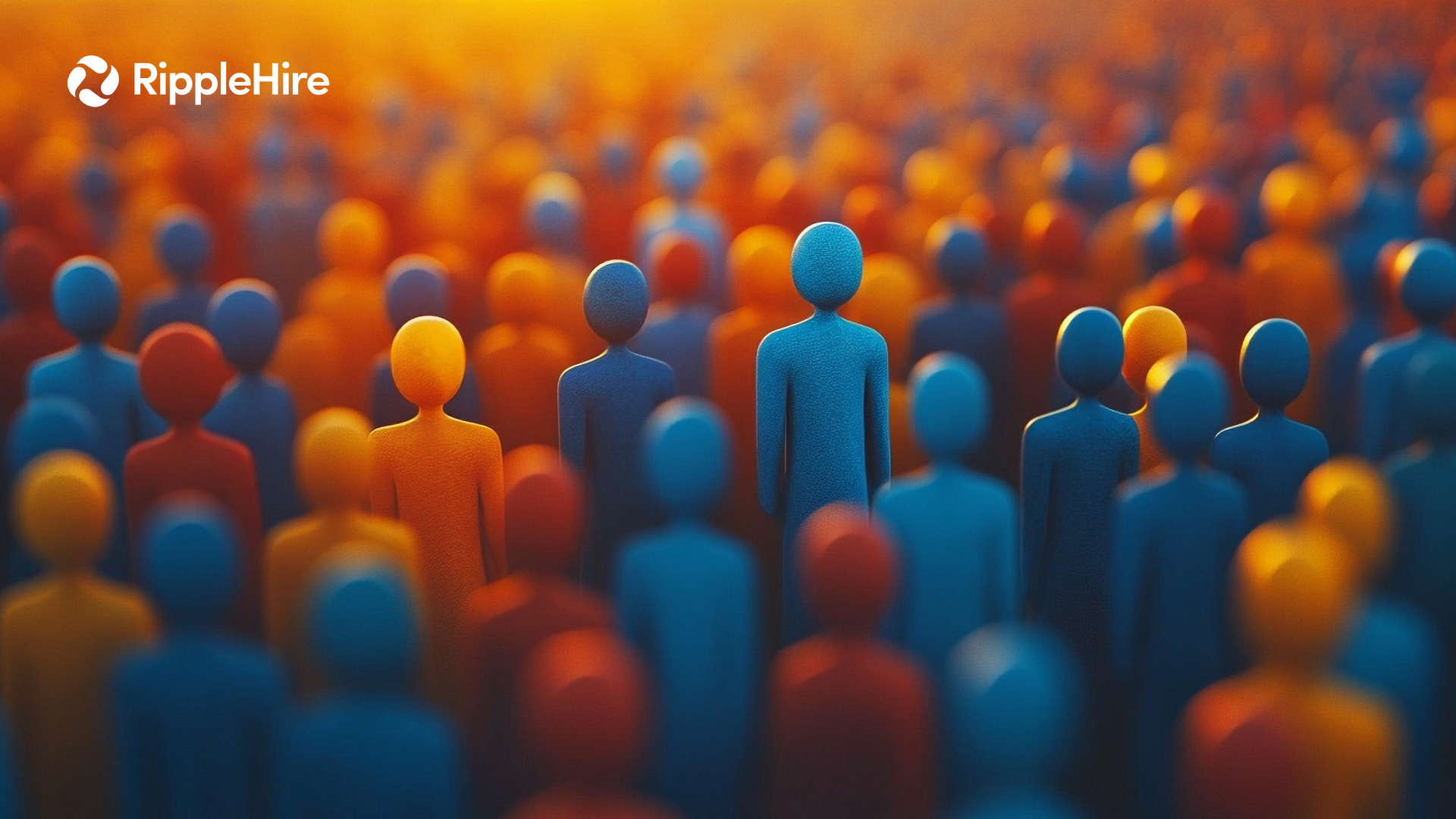 Using Data to Navigate Cultural Differences